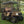 Club Car Precedent / Onward / Tempo ALPHA True Timber Strata Camo Body Kit